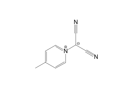 4-METHYL-PYRIDINIUM-DICYANOMETHYLIDE