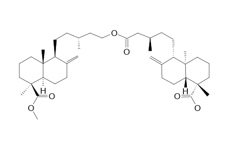 DIMER-E