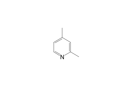 2,4-Lutidine