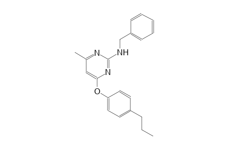 N-benzyl-4-methyl-6-(4-propylphenoxy)-2-pyrimidinamine