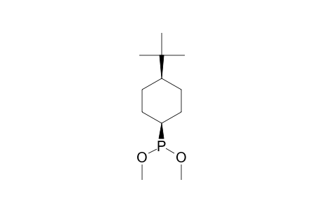 CIS-DIMETHYL-4-TERT.-BUTYL-CYCLOHEXYL-PHOSPHONITE