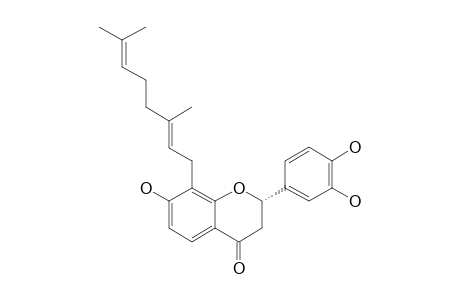 (-)-7,8,3',4'-TRIHYDROXY-8-(3'',7''-DIMETHYL-OCTA-2'',6''-DIENOYL)-FLAVANONE