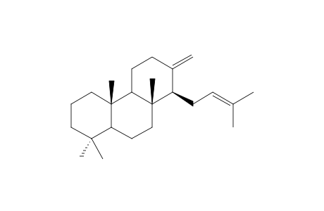 19-NOR,14-ALPHA-H-CHEILANTHA-13(24),16-DIENE