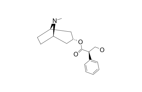 Hyoscyamine