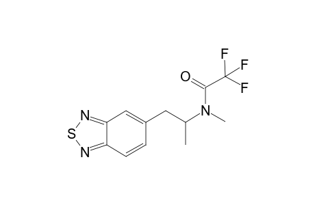 TDMA TFA