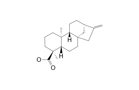 ENT-KAUR-16-EN-18-OIC ACID