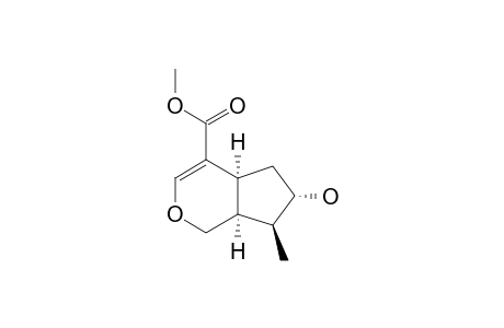 SIPHONOSTEGIOL