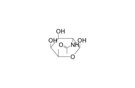 BETA-L-N-ACETYLFUCOSAMINE