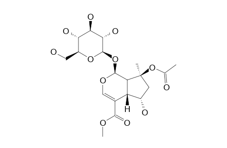 6,9-EPI-8-O-ACETYLSHANZISIDE-METHYLESTER