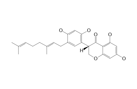 KENUSANONE-A;5'-GERANYL-5,7,2',4'-TETRAHYDROXYISOFLAVANONE