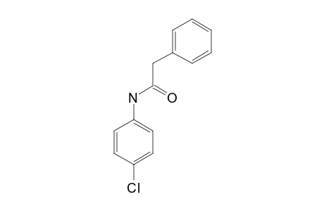 PHENYLACETO-PARA-CHLOROANILIDE