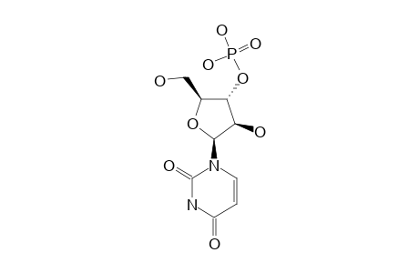 ARABINOURIDINE_3'-PHOSPHATE;AUP