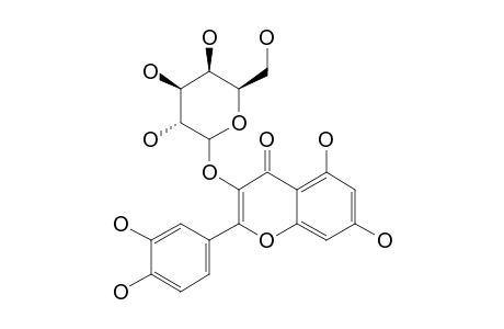 QUERCETIN 3-GALACTOSIDE