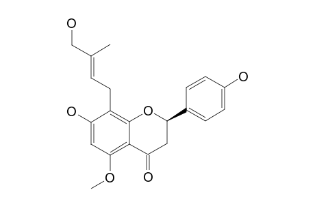 (2R)-8-[5''-HYDROXY-3''-METHYL-(2''E)-BUTENYL]-4',7-DIHYDROXY-5-METHOXYFLAVANONE