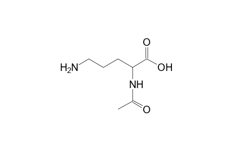 N^2-ACETYL-L-ORNITHINE