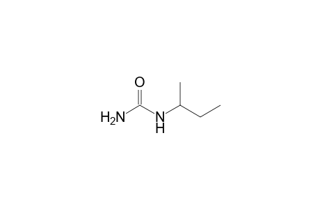 sec-BUTYLUREA