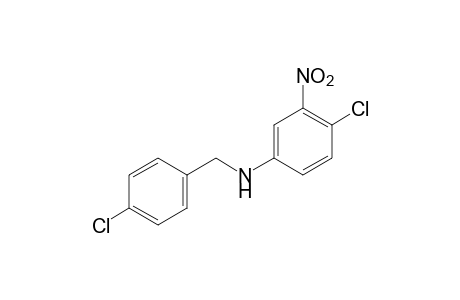 p-chloro-N-(4-chloro-3-nitrophenyl)benzylamine