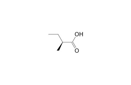 (S)-(+)-2-Methylbutyric acid