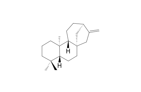 ent-kaurene