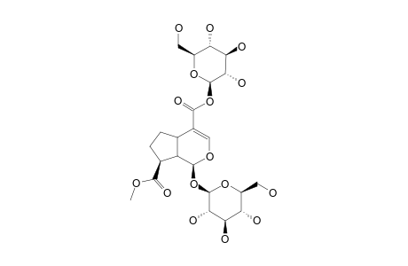 10-METHYL-11-GLUCOPYRANOSYL-FORSYTHIDE