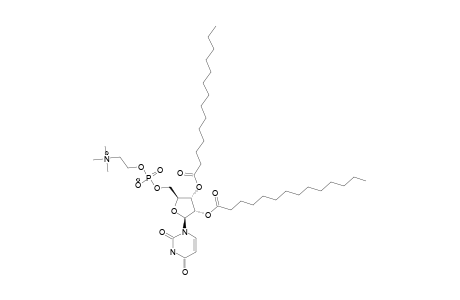 1,2-DIMYRISTOYL-URIDINO-PHOSPHOCHOLINE