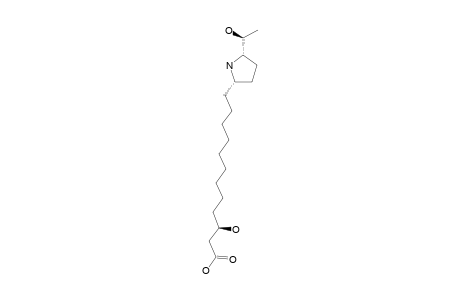 MORUSIMIC-ACID-B;(3R)-3-HYDROXY-12-[(1S,4S)-4-[(1S)-1-HYDROXYETHYL]-PYRROLIDIN-1-YL]-DODECANOIC-ACID