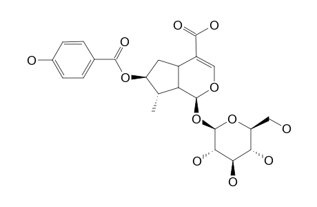 7-O-PARA-HYDROXYBENZOYL-8-EPILOGANIC-ACID