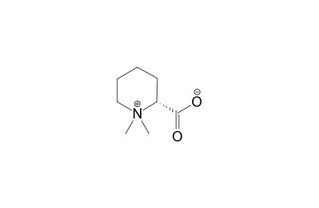 PIPECOLIC-ACID-BETAINE