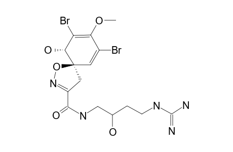 CAISSARINE-A