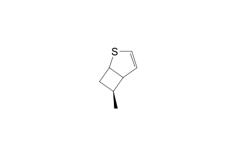 EXO-6-METHYL-2-THIABICYCLO-[3.2.0]-HEPT-3-EN