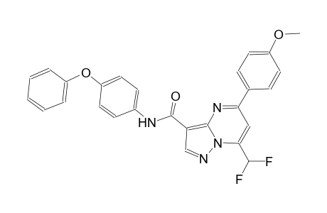 7-(difluoromethyl)-5-(4-methoxyphenyl)-N-(4-phenoxyphenyl)pyrazolo[1,5-a]pyrimidine-3-carboxamide