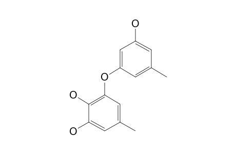 CORDYOL-C