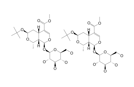 7-O-TERT.-BUTYL-MORRONISIDE