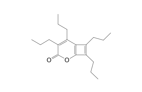 4,5,7,8-TETRAPROPYL-2-OXA-BICYCLO-[4.2.0]-OCTA-1(6),4,7-TRIEN-3-ONE