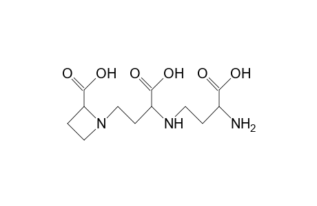 2(S),3'(S),3'(S)-N-(N-[3-Amino-3-carboxy-propyl]-3-amino-3-carboxy-propyl)-azetidine-2-carboxylic acid