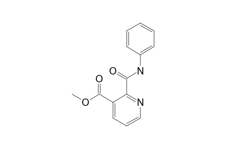 2-[(PHENYLAMINO)-CARBONYL]-3-PYRIDINE-CARBOXYLIC-ACID-METHYLESTER