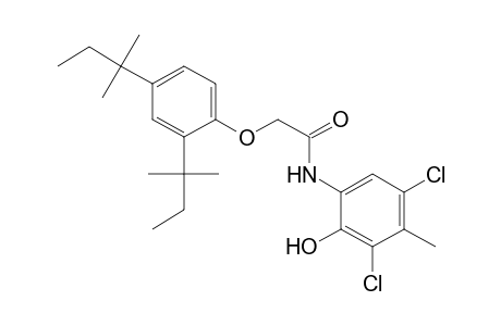 N-(3,5-Dichloro-2-hydroxy-4-methylphenyl)-2-(2,4-di-tert-pentylphenoxy)acetamide