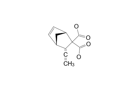 3-ETHENYLIDENEBICYCLO-[2.2.1]-HEPT-5-ENE-2,2-DICARBOXYLIC-ACID