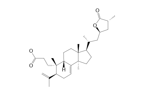 ABIESOLIDIC-ACID