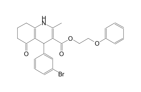 2-Phenoxyethyl 4-(3-bromophenyl)-2-methyl-5-oxo-1,4,5,6,7,8-hexahydro-3-quinolinecarboxylate