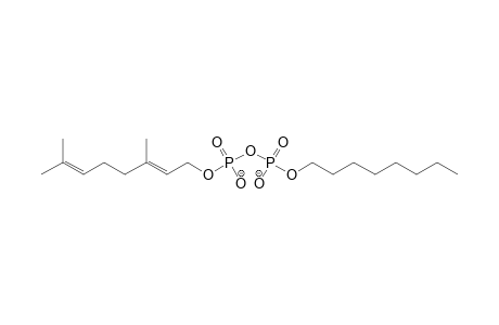 P'-GERANYL-OCTANATE-8-DIPHOSPHATE