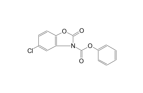 3(2H)-benzoxazolecarboxylic acid, 5-chloro-2-oxo-, phenyl ester