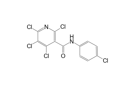 3-pyridinecarboxamide, 2,4,5,6-tetrachloro-N-(4-chlorophenyl)-