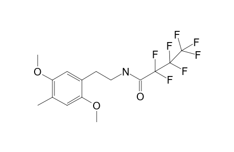 2C-D HFB