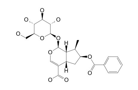 7-O-BENZOYLLOGANIC ACID