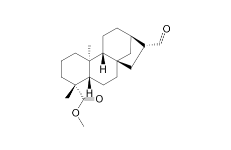 METHYL-ENT-17-OXO-16-BETA-KAURAN-19-OATE