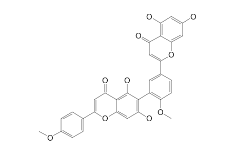 ROBUSTAFLAVONE_4',4'''-DIMETHYL_ETHER