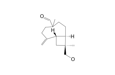 (1R,9S,11S)-4,11-DIMETHYL-4-FORMYL-11-HYDROXYMETHYL-8-METHYLENE-BICYCLO-[6,2,0]-DECANE