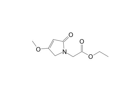 2-(2-keto-4-methoxy-3-pyrrolin-1-yl)acetic acid ethyl ester