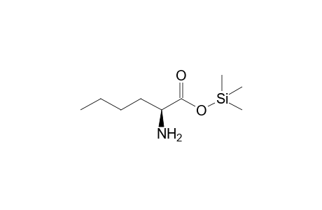 Norleucine,O-TMS